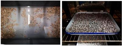 Bio-deposition approaches for sustainable execution of recycled aggregates in concretes